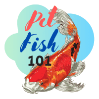 pet fish 101